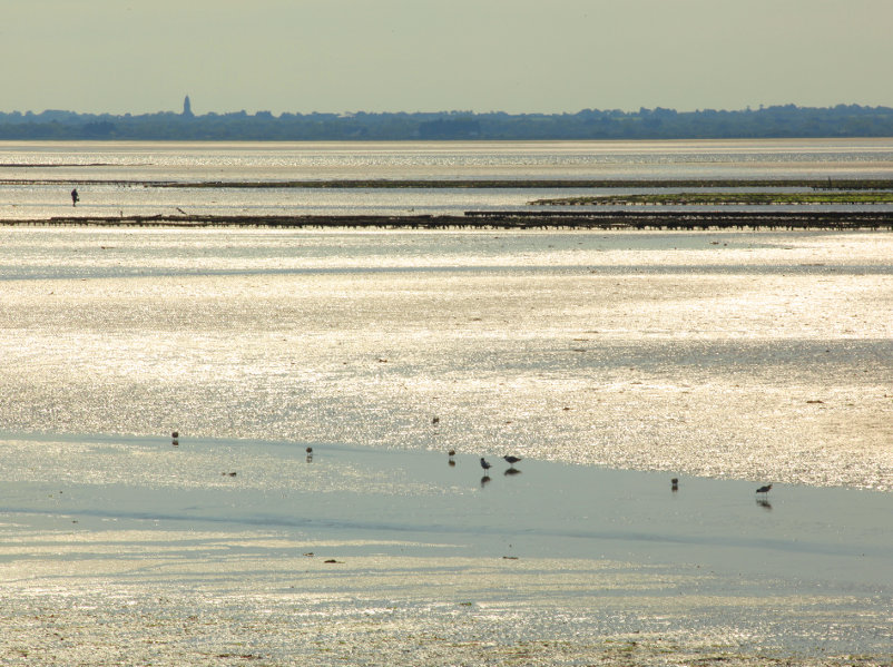 Baie des Veys - ©© G.WAIT - OT Bayeux Intercom Baie des Veys - ©© G.WAIT - OT Bayeux Intercom