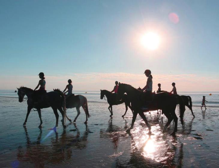 Balade cheval plage Deauville - LA MANGEOIRE