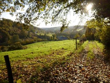 Balade en Terres de Druance 1