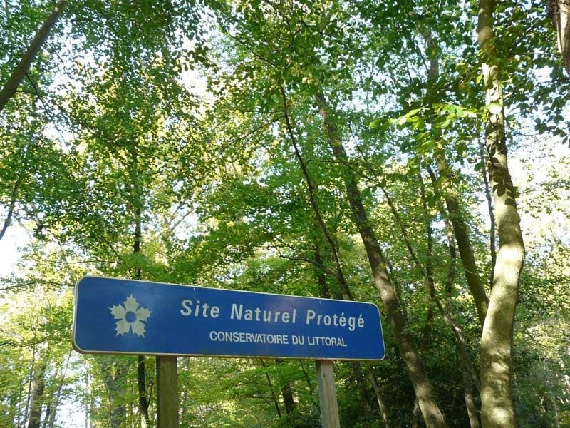 Bois du Breuil Calvados (4) - ©© Calvados Tourisme Bois du Breuil Calvados (4) - ©© Calvados Tourisme