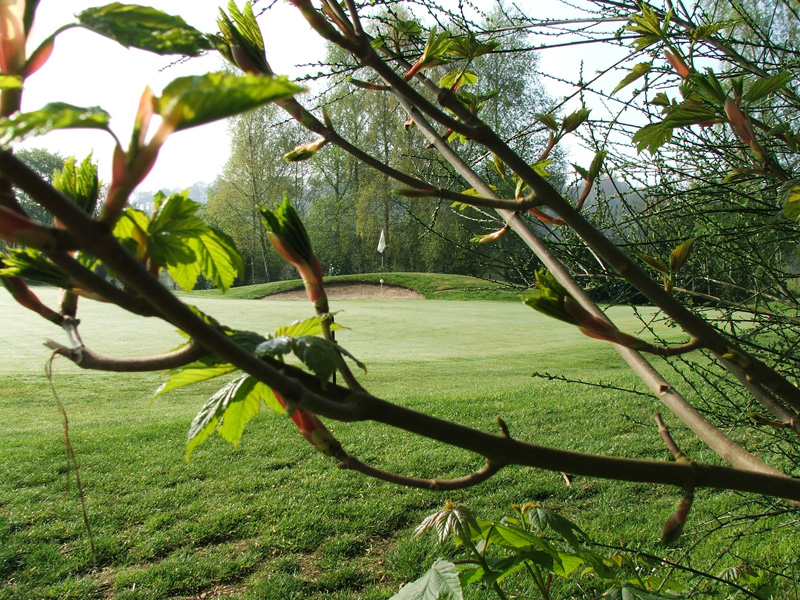 Golf de Vire la Dathée - ©Golf de Vire la Dathée Golf de Vire la Dathée - ©Golf de Vire la Dathée
