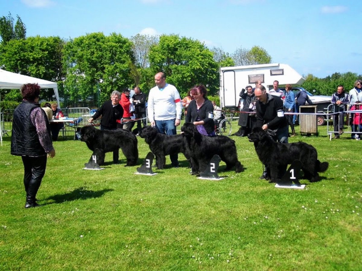 CONCOURS-BEAUTE-TERRE-NEUVE-CREDIT-NATHALIE-PAPOUIN