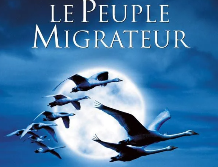 Capture d'écran 2025-05-12 094835
