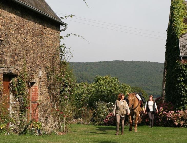 Cavalières et leurs chevaux