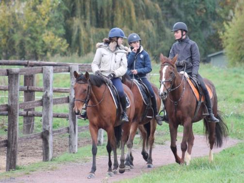 Centre-equestre-de-Blonville