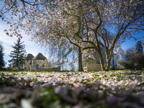Château d'Harcourt © Département de l'Eure, S. Bachelot