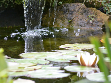 Le jardin de Manou dans le Pays d'Auge - ©M. Launay Le jardin de Manou dans le Pays d'Auge - ©M. Launay