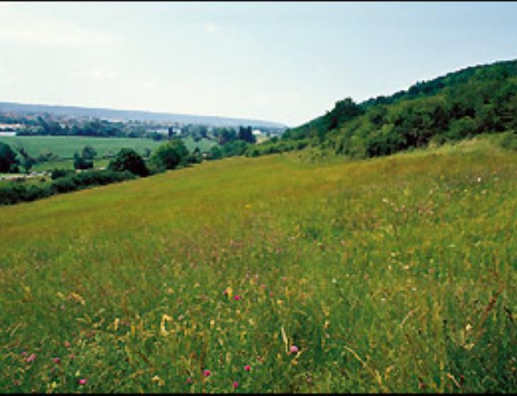 Côteaux de Giverny