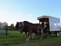 Copyright-OTLPA-et-Bruno-Photographie-(7)(1)