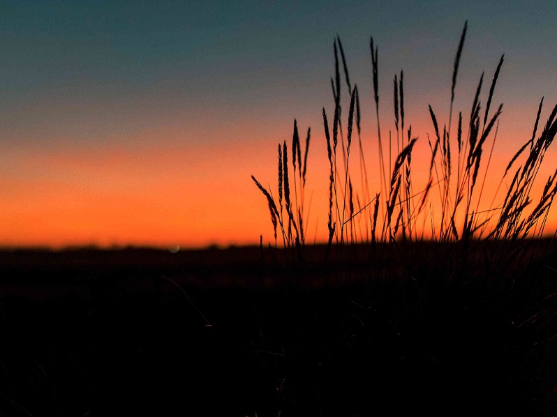 Coucher de soleil