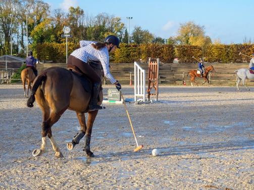 Polo lessons 2x800