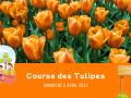 Animations_Tourinsoft - Course des tulipes