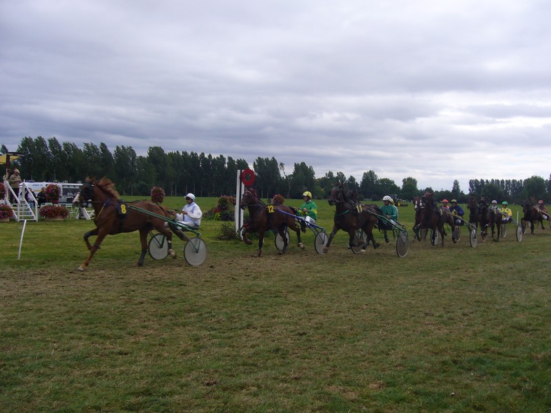 Courses hippiques - ©FESTI/B.I.T Courses hippiques - ©FESTI/B.I.T