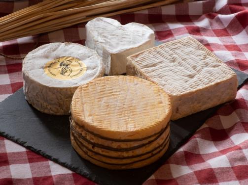 Platter of cheeses from the Livarot cheese dairy