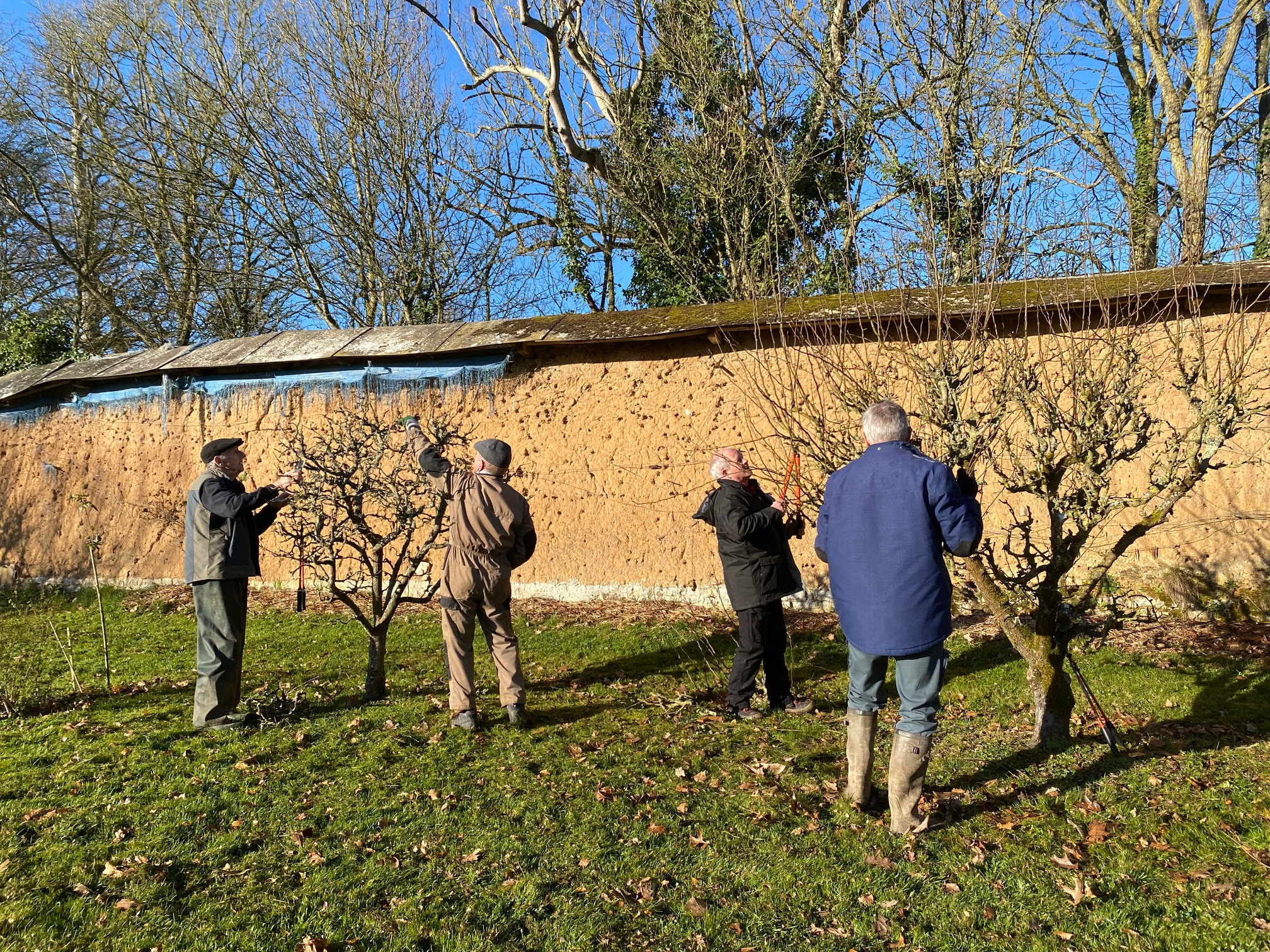 Demo Taille St Fiacre 2022 Basse tige