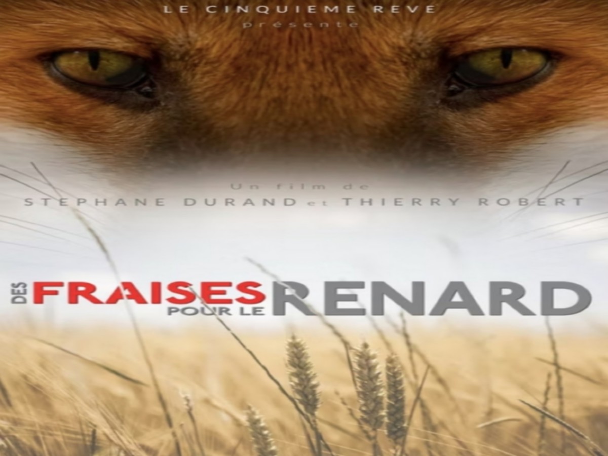 Projection du film Des fraises pour le renard dans le cadre du 15 ème Festival Génération Durable