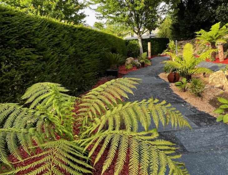 Le jardin Préhistorique du Domaine Albizia