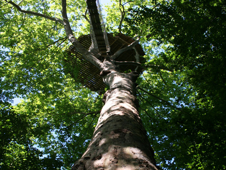 Domaine de Canon - ©Domaine de Canon Domaine de Canon - ©Domaine de Canon