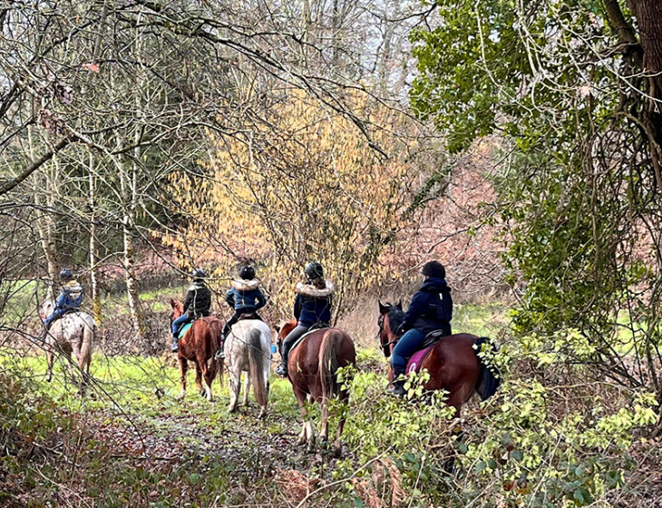 Balade en forêt hantée