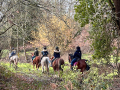 Balade en forêt hantée