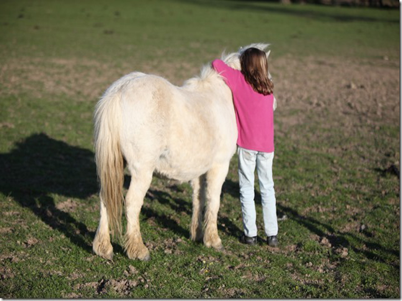 Enfant avec poney Calvados - ©Cherokee Equitation Loisirs Enfant avec poney Calvados - ©Cherokee Equitation Loisirs