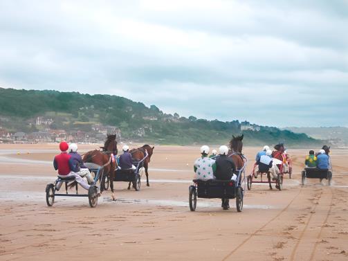 uropean Sulky Academy - plage 2