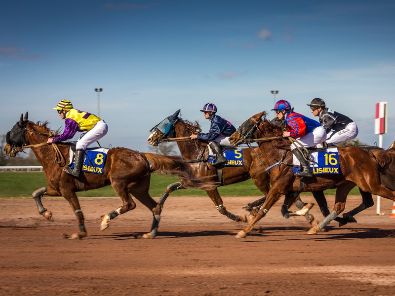 Fabien Lestrade course - ©Fabien Lestrade Fabien Lestrade course - ©Fabien Lestrade