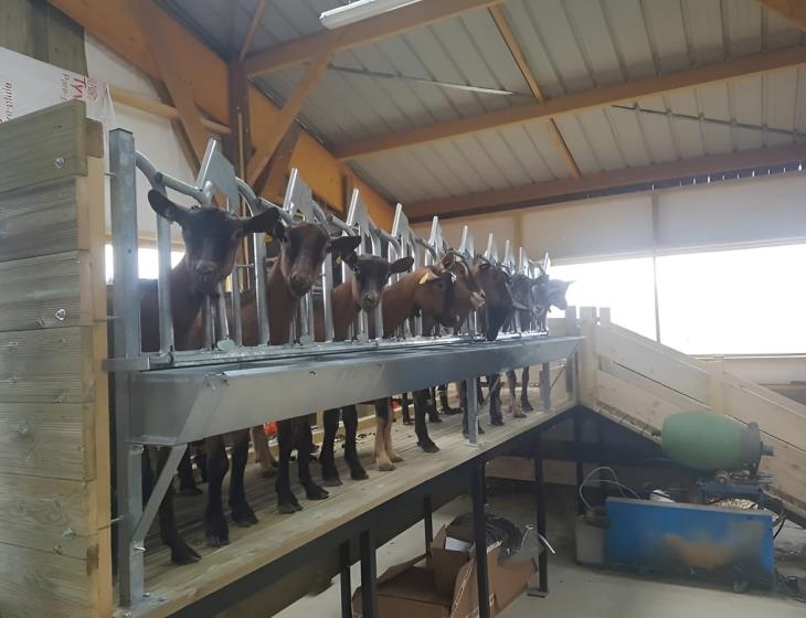 Ferme-Chevriere-MesnilEudes-interieur