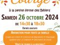 Festi courges