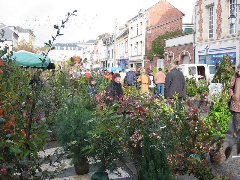 Foire aux arbres d'Orbec chaque automne - ©OT Pays de l'Orbiquet Foire aux arbres d'Orbec chaque automne - ©OT Pays de l'Orbiquet