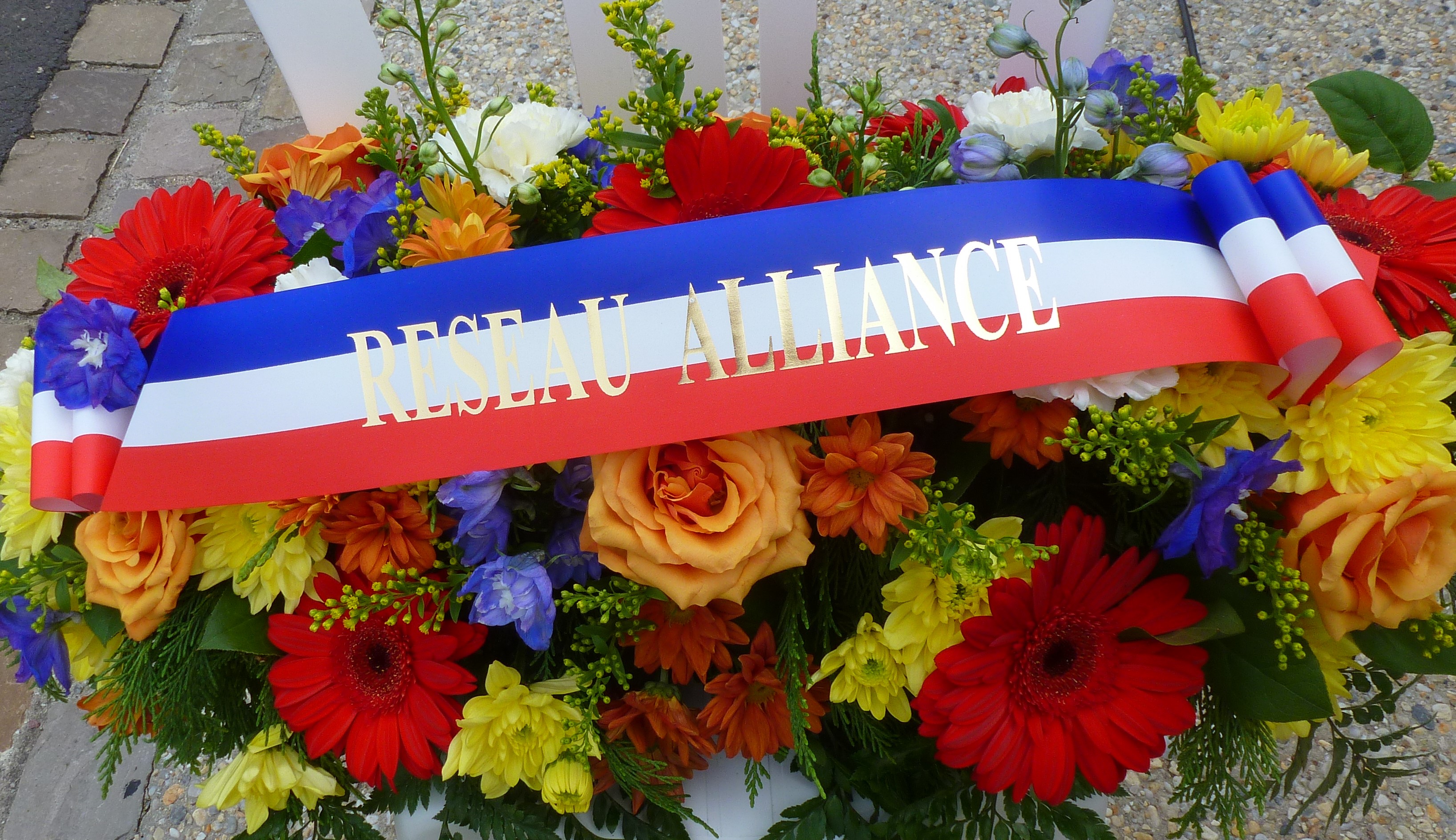   GERBE-RESEAU-ALLIANCE- 