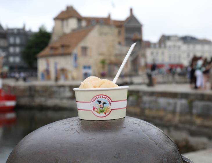 Glaces Ferme du Bois Louvet_Honfleur (1)