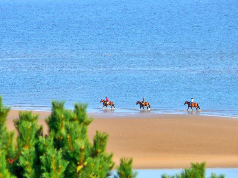 HOULGATE&COTEFLEURIE_RANDONNEE&CHEVAL&PERSONNAGE&PLAGE&MER&PAYSAGE&122049©L.DURAND-CALVADOS-TOURISME_LIBRE HOULGATE&COTEFLEURIE_RANDONNEE&CHEVAL&PERSONNAGE&PLAGE&MER&PAYSAGE&122049©L.DURAND-CALVADOS-TOURISME_LIBRE