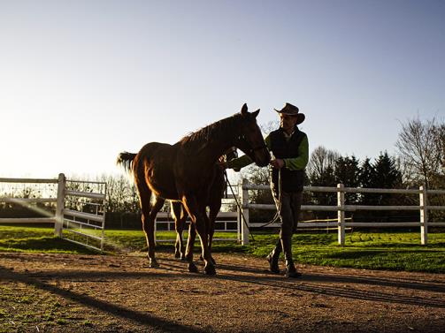 Haras d'Ecajeul news blog