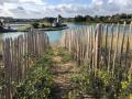 ile-de-plaisance-dune-moulin-ganivelle