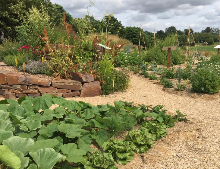 Potager en permaculture-Beny Bocage