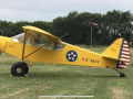 avion PIPER Savage CUB