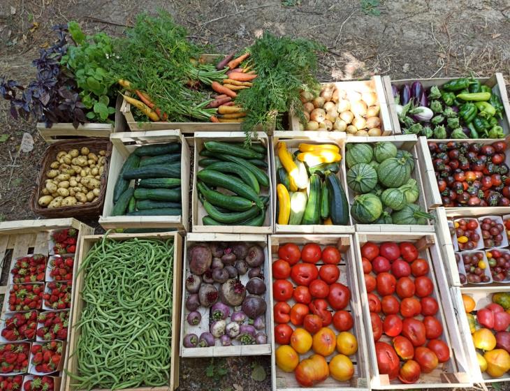 Légumes
