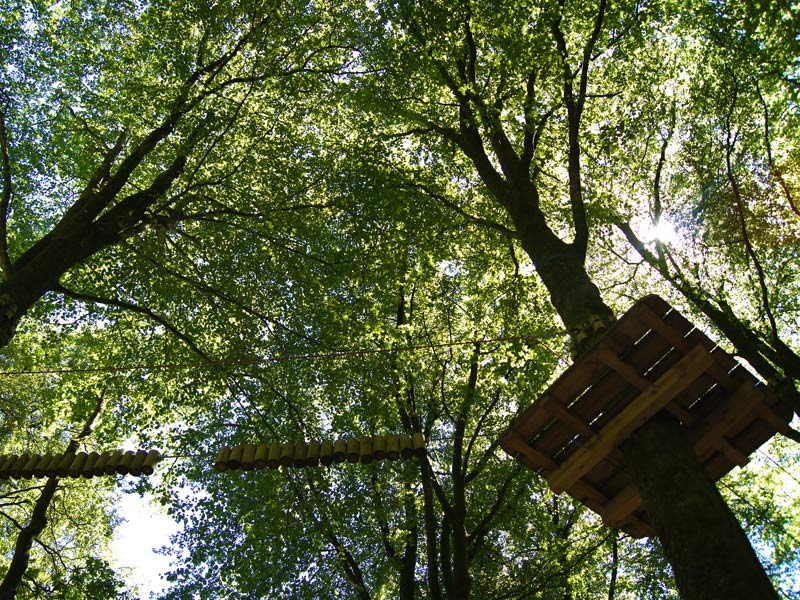L'Etape en foret - St Sever - 3 - ©Calvados Tourisme L'Etape en foret - St Sever - 3 - ©Calvados Tourisme