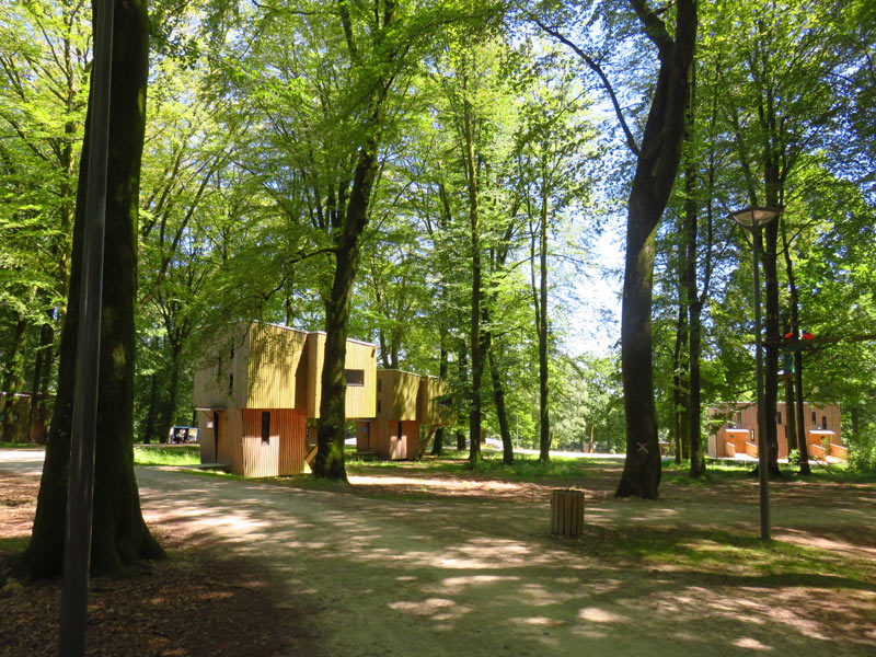 L'Etape en foret - St Sever - 4 - ©Calvados Tourisme L'Etape en foret - St Sever - 4 - ©Calvados Tourisme