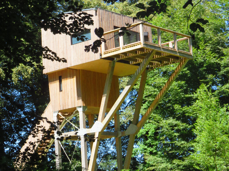 L'Etape en foret - St Sever - 5 - ©Calvados Tourisme L'Etape en foret - St Sever - 5 - ©Calvados Tourisme