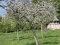 La Ferme de Cavelande - Cresseveuille