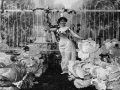 La fée aux choux @collection Gaumont Pathé Archives 1901GFIC_00001_03