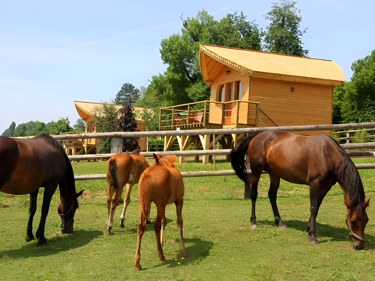 Les Cabanes de Simm - Coudray Rabut - chevaux 2 - ©Les Cabanes de Simm Les Cabanes de Simm - Coudray Rabut - chevaux 2 - ©Les Cabanes de Simm
