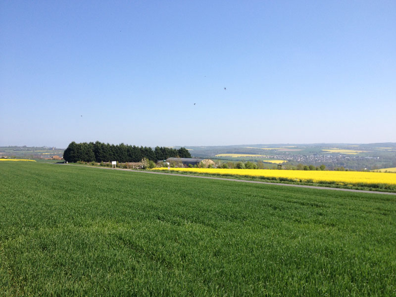 Les-Ecuries-des-Monts-en-Suisse-Normande - ©Ecuries des Monts Les-Ecuries-des-Monts-en-Suisse-Normande - ©Ecuries des Monts