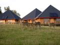 Cerza Safari Lodge - Hermival les Vaux