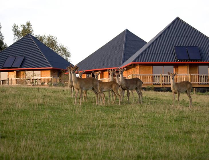 Cerza Safari Lodge - Hermival les Vaux