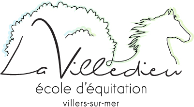 Logo-la-villedieu-ecole-dequitation