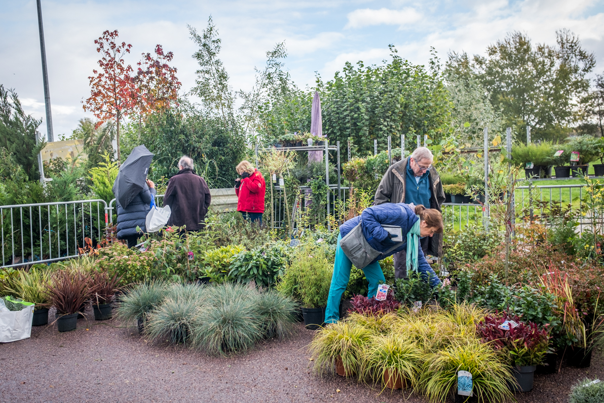 Foire aux arbres Du 16 au 17 nov 2024