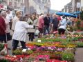 Marché aux fleurs d'Orbec chaque printemps